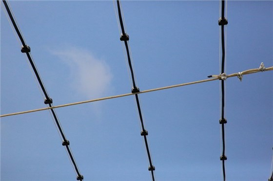 上海國際傳媒港